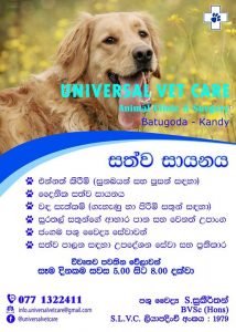 Pet stores & pet services in Kandy