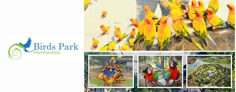 hambantota birds park