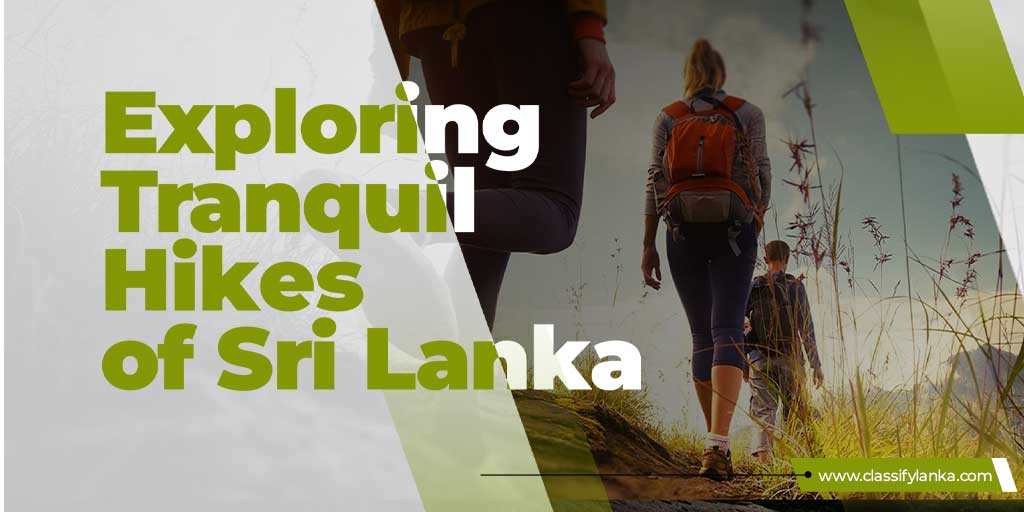 explore tranquil hikes of sri lanka