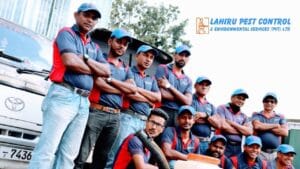 lahiru pest control environmental services pvt ltd services 3.jpg