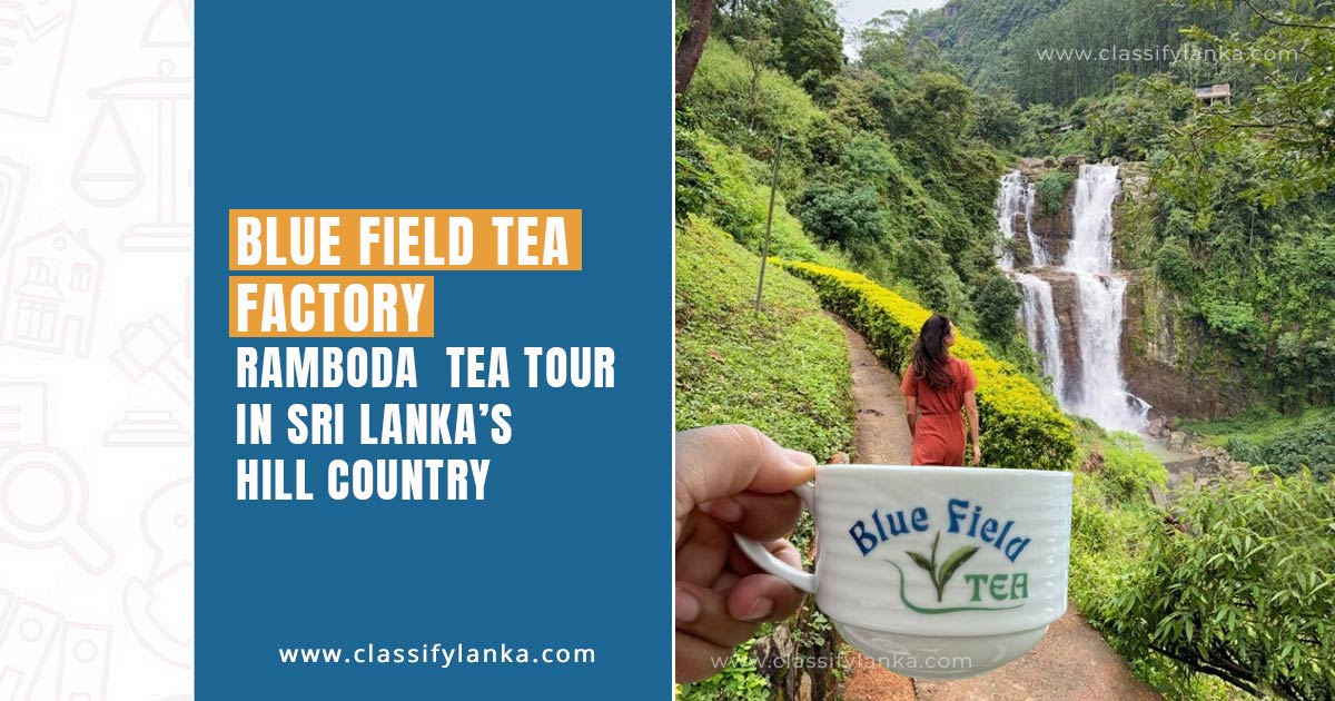 Blue-Field-Tea-Factory-Ramboda-tea-tour
