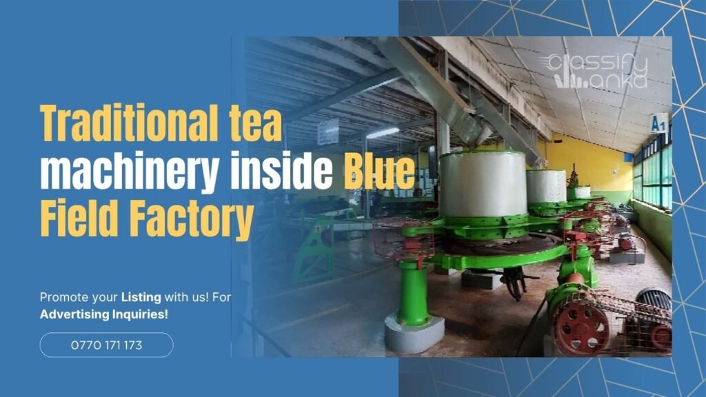 Traditional tea machinery inside Blue Field Factory