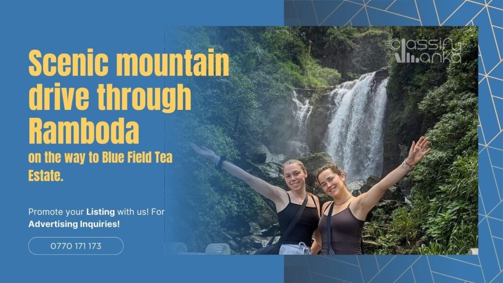 mountain drive through Ramboda Blue Field Tea Estate