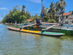 Madu River Boat Safari By Jaliya img